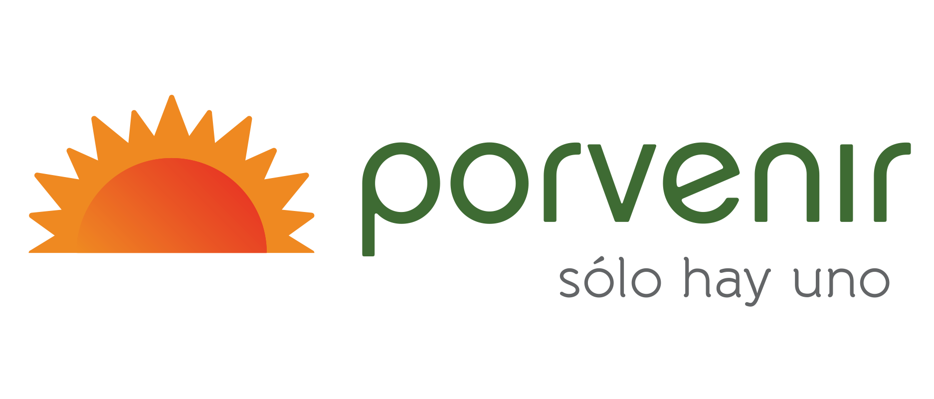 Logo Porvenir